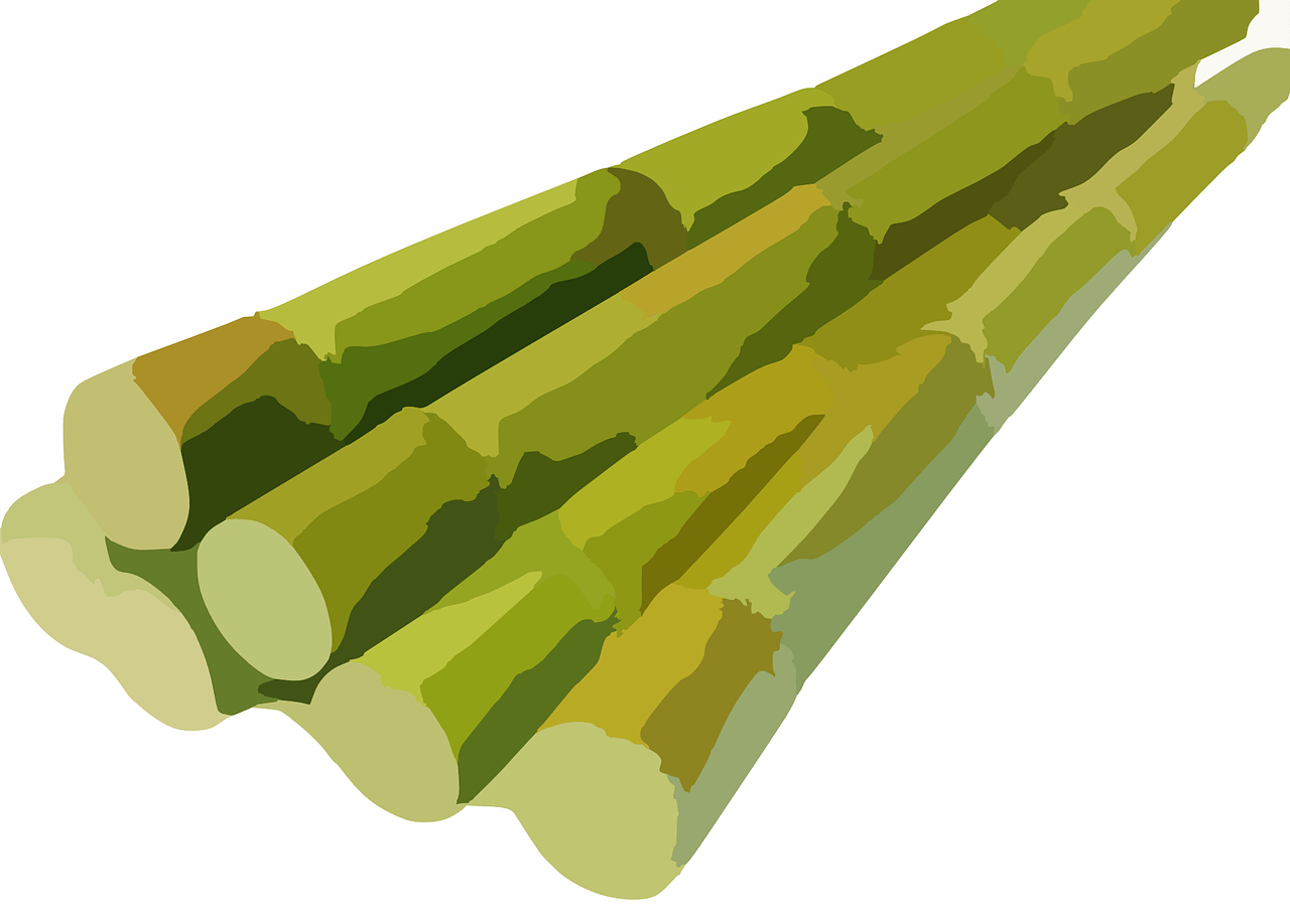 sugarcane